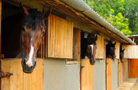free Belvoir stable construction quotes